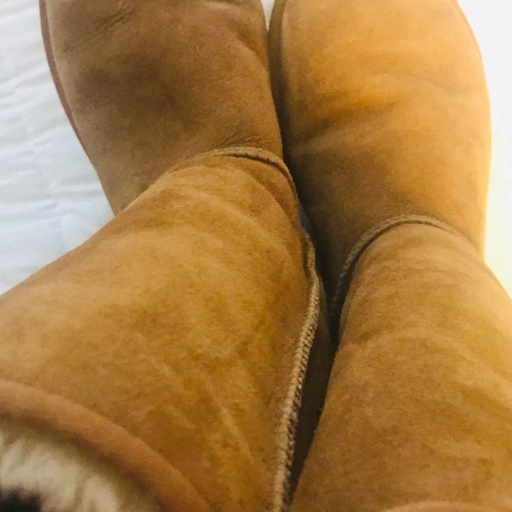 UGg - Picture 6 of 7